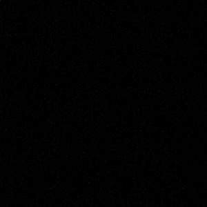 Meet your Posher, Carter